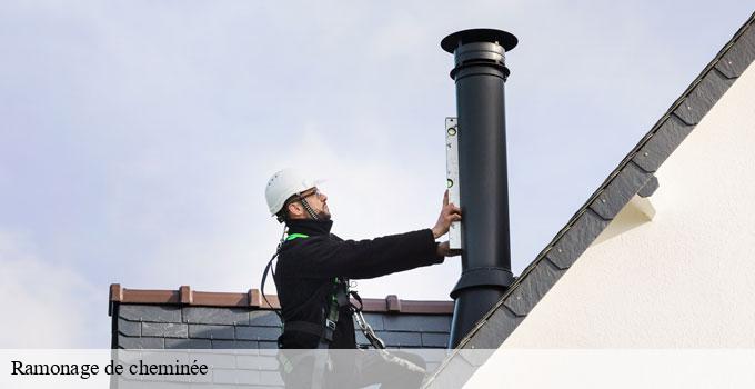 Ramonage de cheminée paris-11-75011 Witosz Alexandre